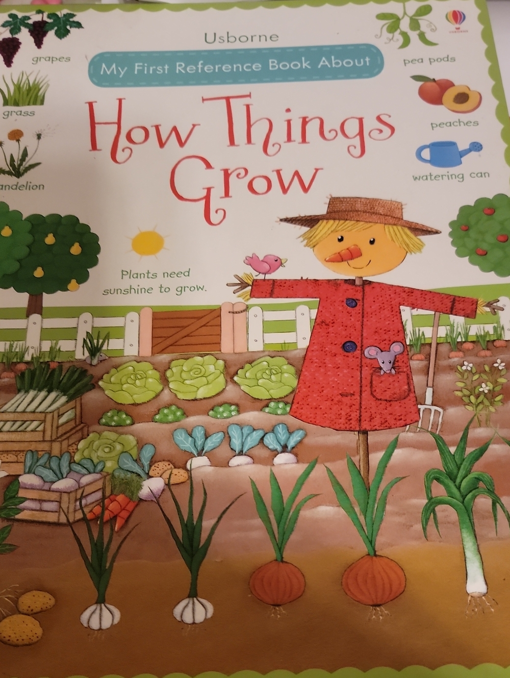 Born How Things Grow Picture Book - Red Jacket, Green Garden